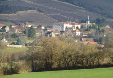 Trail On foot Bissy-sur-Fley - Chemin de Pissevache - Photo