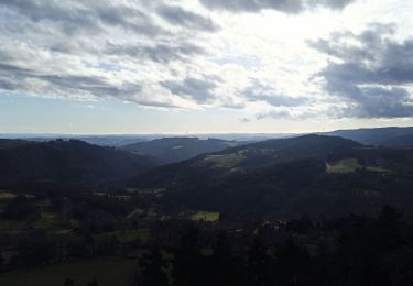 Trail Walking Peyre en Aubrac - 28-12-22 roc de Peyre - Photo