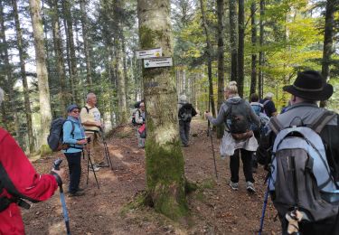 Trail Walking Storckensohn - Runtzwald Gazon Vert  - Photo