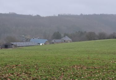 Randonnée Marche Nassogne - rando masbourg 25-01-2024 - Photo