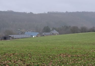 Excursión Senderismo Nassogne - rando masbourg 25-01-2024 - Photo