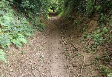 Trail Walking Coutances - Coutances - Photo