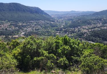 Excursión Senderismo Le Revest-les-Eaux - source de la Ripelle, oppidum de vieille valette  - Photo