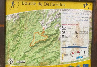 Tocht Trail Petit-Bourg - La boucle de tambour  - Photo