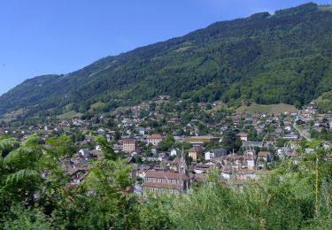 Trail On foot Allevard - sentier du fer - Photo