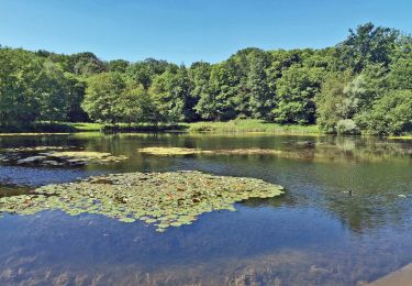 Tour Wandern Jouy-en-Josas - GRP CV-IDF 2023 - Photo