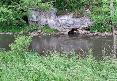 Trail On foot Hamoir - Autour de l'Ourthe entre Hamoir et Xhognesse - Photo