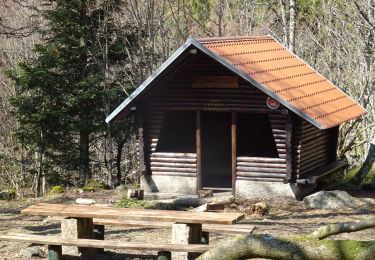 Trail Horseback riding Mollkirch - 2019-03-31 Picnic CVA Neuntelstein - Photo