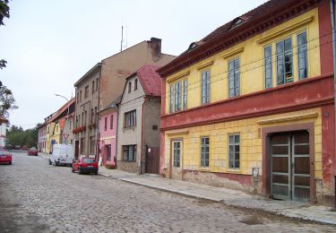 Tocht Te voet Černé Voděrady - CZ-0024 - Photo