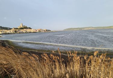 Tocht Stappen Gruissan - Gruissan  - Photo