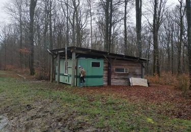 Tour Wandern Nogent-en-Othe - Nogent en Othe - Photo