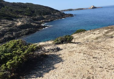 Percorso Marcia Hyères - Porquerolles - boucle nord ouest - Photo