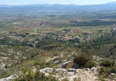 Randonnée Marche Puyloubier - Puyloubier : St Ser-col des Portes - Photo