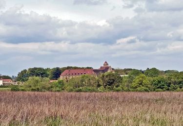 Tour Wandern Ballainvilliers - GRP CV-IDF 2023 - Photo