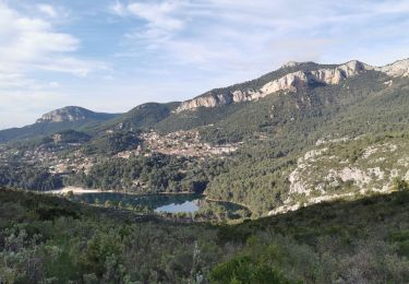 Tocht Stappen La Valette-du-Var - Du Tourris aux Olivières - Photo