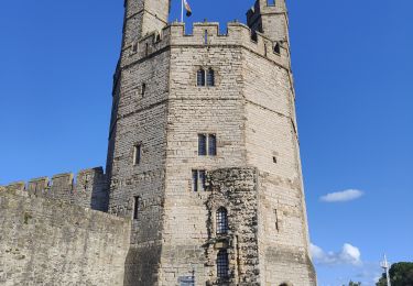 Tocht Stappen  - Ballade le long de la voie ferrée du train touristique de Caernarfon  - Photo