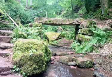 Randonnée A pied Waldbrunn - Rundwanderweg 53: Wolfsschlucht-Weg - Photo