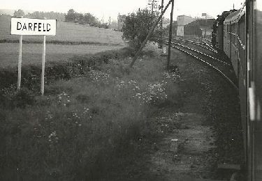 Percorso A piedi Rosendahl - Rundweg Darfeld D2 - Photo