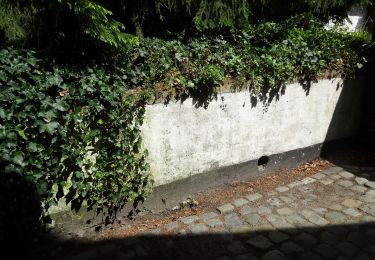 Percorso A piedi Brasschaat - Bethaniepad - Photo