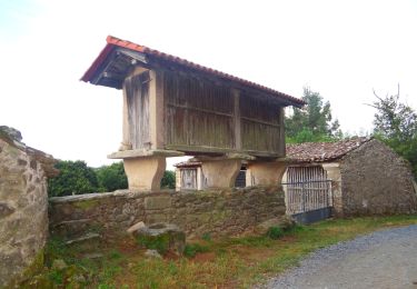 Tour Wandern Palas de Rei - Camino Francés - Etp31 - Palas de Rei - Arzua - Photo