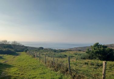 Trail Walking Condette - Condette 31 Octobre 2024 - Photo