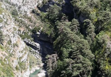 Trail Walking La Palud-sur-Verdon - Chemin Martel  - Photo