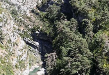 Percorso Marcia La Palud-sur-Verdon - Chemin Martel  - Photo