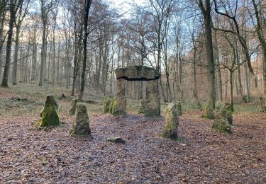 Excursión Senderismo Hoeilaart - De Grœnendaal à Rhode-St-Genèse  - Photo