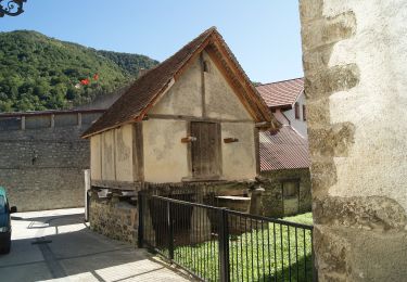 Tour Zu Fuß Orbaizeta - Arburuko Behatokia / Mirador de Arburu - Photo