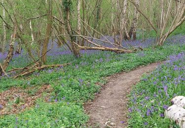 Trail Walking Nassandres sur Risle - Nassandres - Photo