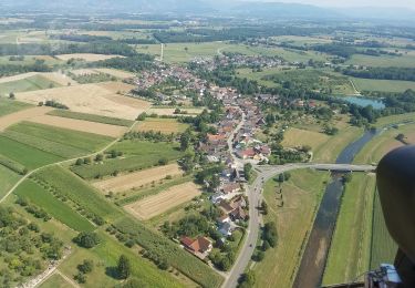 Tour Zu Fuß Rheinau - Geschichts- und Naturlehrpfad - Photo