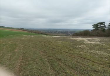 Trail Walking Laines-aux-Bois - Balade chemins forêts - Photo