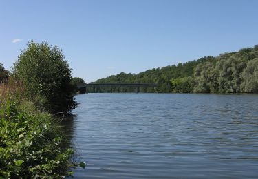 Percorso A piedi Dommartin-lès-Toul - Circuit du Luxembourg - Photo