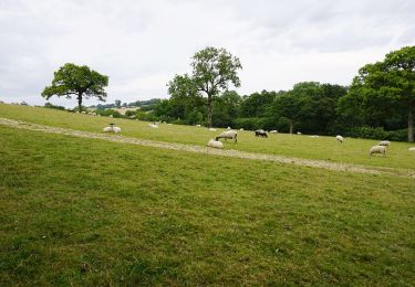 Tocht Te voet Tewkesbury - Warden's Way - Photo