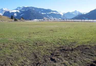 Tocht Te voet Einsiedeln - Euthal - Heitligeer - Photo