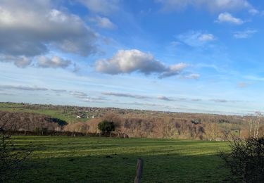 Tocht Stappen Olne - Bois Olne vers Égypte - Photo