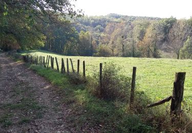 Tour Wandern Vienne - 2023-10-08 - St Alban les Vignes - La Balme -  Les Barres - Photo