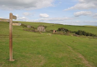 Tour Zu Fuß North Devon - Tarka Trail - Croyde to Saunton Circular Route - Photo