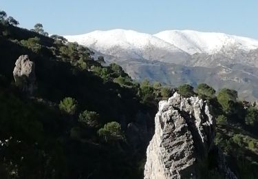 Randonnée Marche Lentegí - les arbres petrifies - Photo