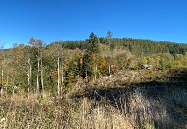 Tour Wandern La Renaudie - Le circuit des ponts - Photo