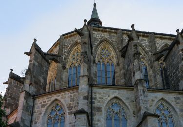 Tour Zu Fuß Gemeinde Zwettl-Niederösterreich - Der Prinzensteig 1 - Photo