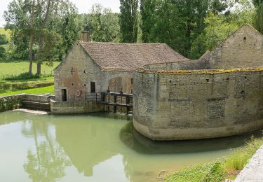 Excursión Cicloturismo Tanlay - Tanlay - Montbard  - Photo