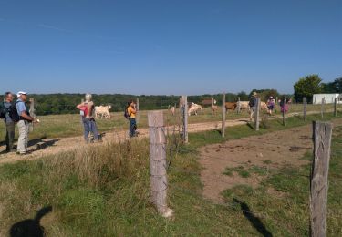 Tocht Stappen Bernay-Vilbert - Boucle de Bernay - Photo