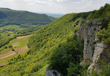 Randonnée Marche Arbois - Roche du Feu Arbois - Photo