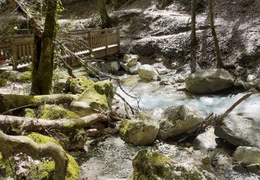 Tour Wandern Saint-Vincent-de-Mercuze - Cascade de l'Alloix Montalieu (38) - Photo