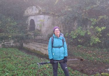 Excursión Senderismo Poligny - Poligny Barretaine 5km - Photo