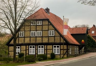 Tour Zu Fuß Hollenstedt - Wander-Tour Este West - Photo