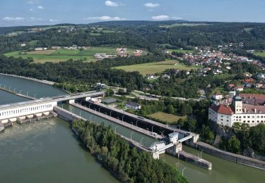 Excursión A pie Gemeinde Ybbs an der Donau - Panoramarundwanderweg Ybbs - Photo