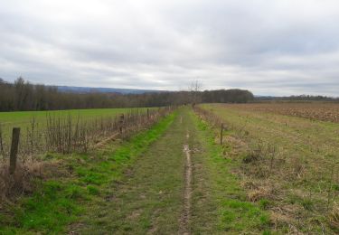 Trail Walking Namur - Beez boucle - Photo