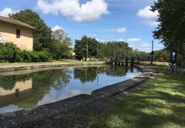 Excursión Senderismo Ayguesvives - Canal du midi 31719 - Photo